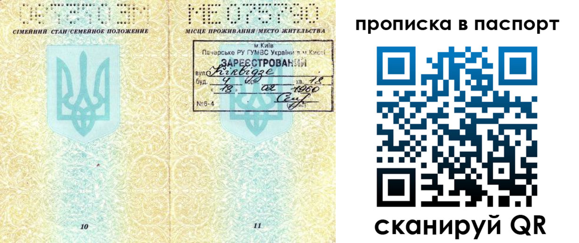 прописка паспорт в Владимирской области